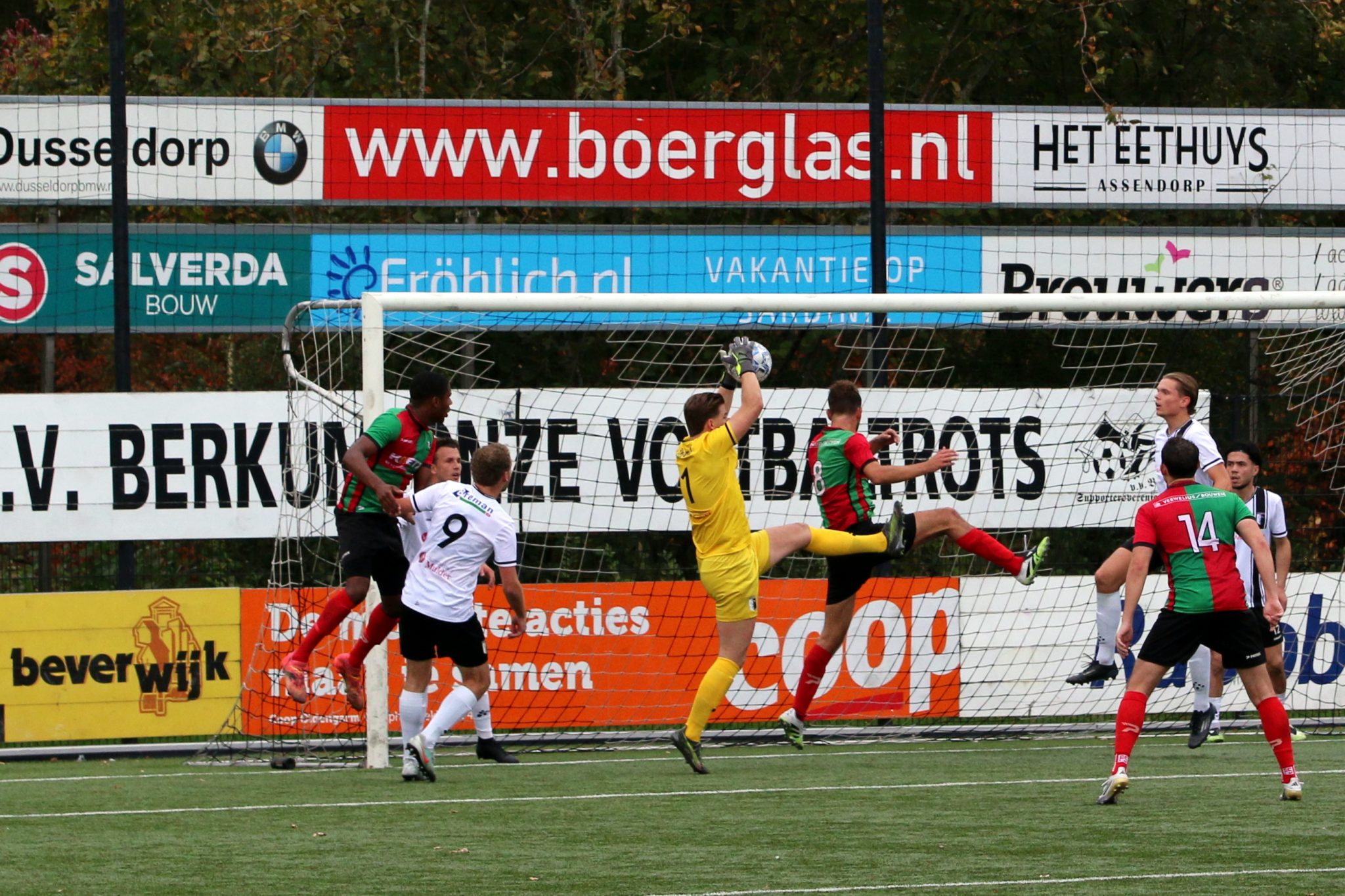 Berkum langs taai Zuidvogels